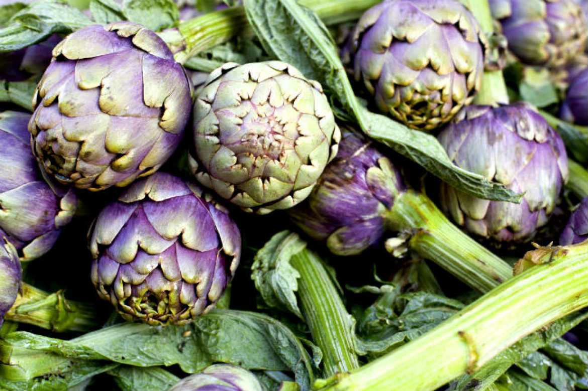 Artichoke - Benefits