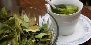 Bay Leaf tea