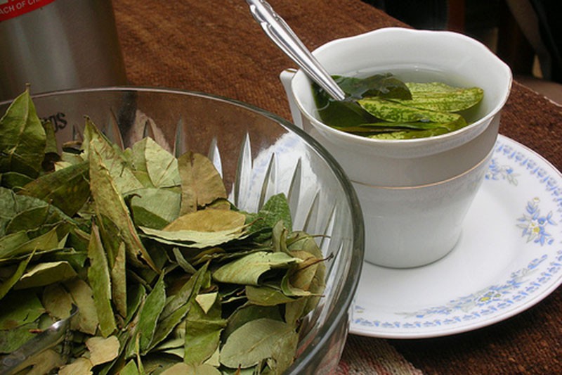 Bay Leaf tea