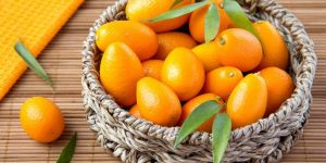 Benefit Kumquats