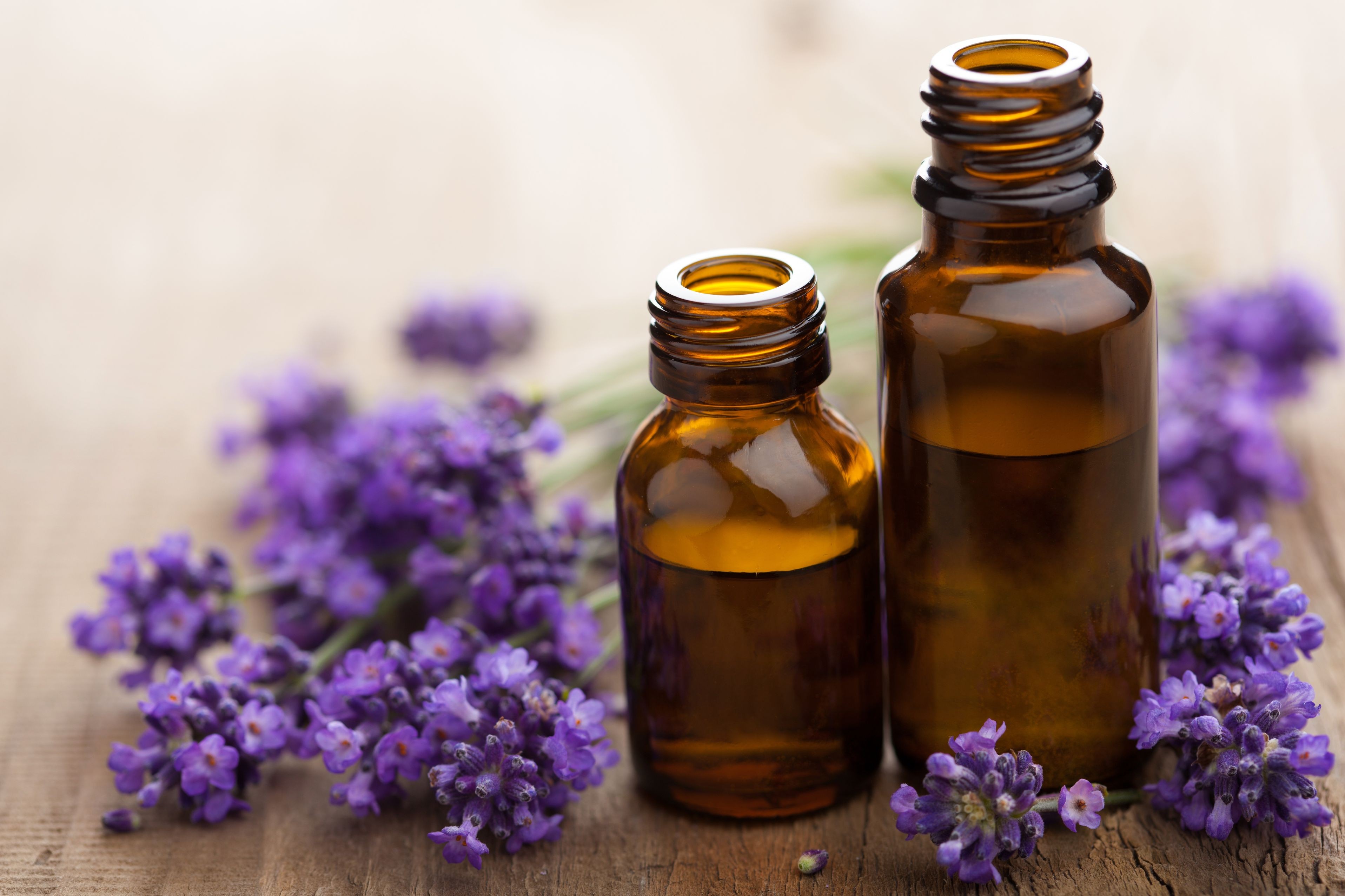 10 Proven Health Benefits Of Lavender Essential Oil Health Tips
