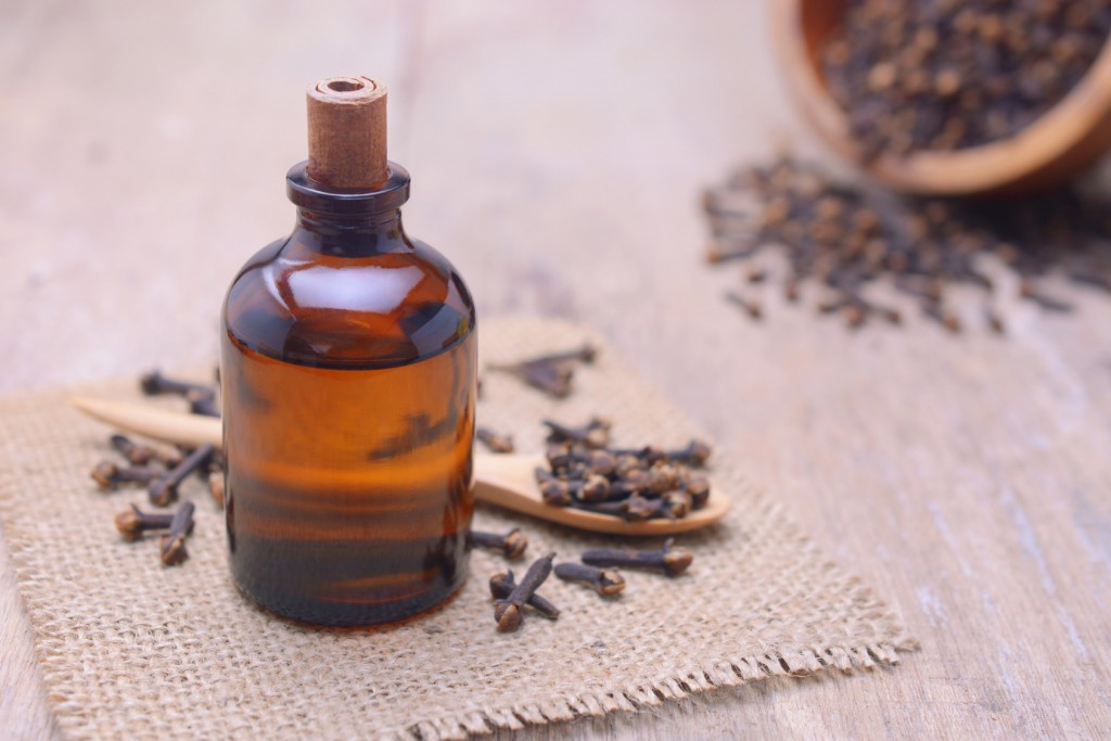 Benefit of clove oil