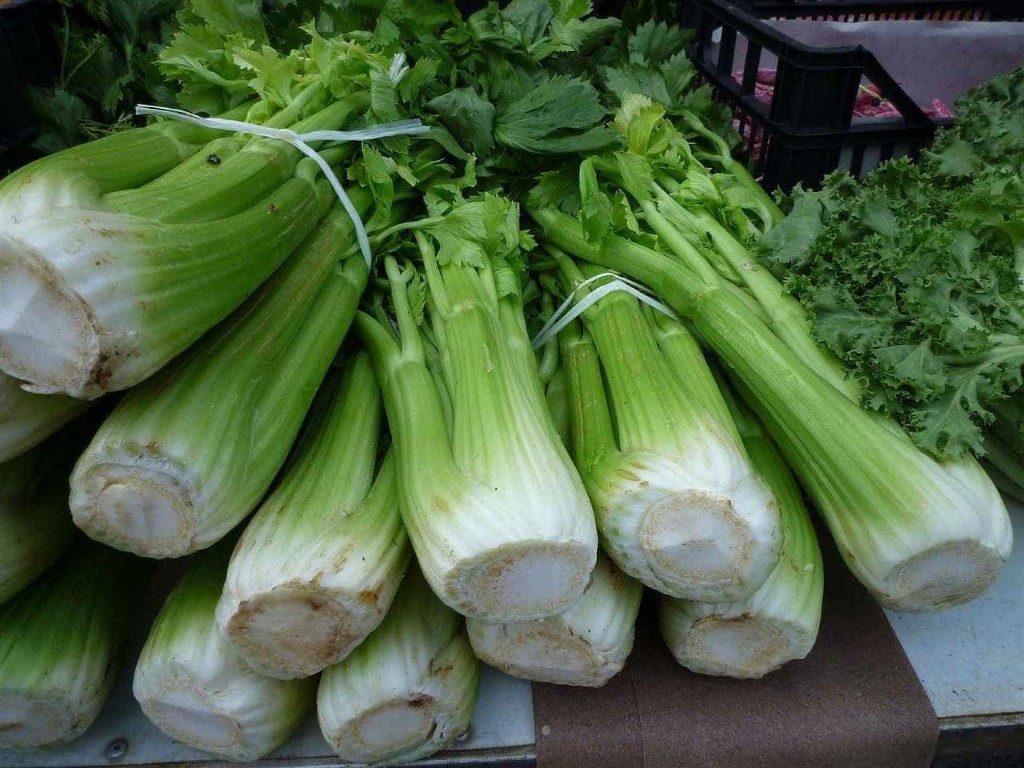 Celery Benefit
