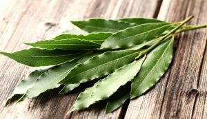 20 Proven Health Benefits of Eucalyptus