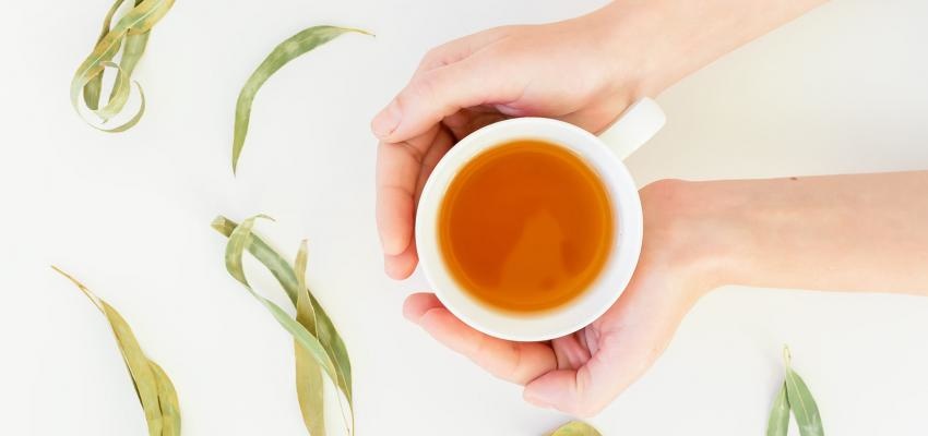 Eucalyptus Tea Benefit