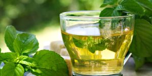 Eucalyptus Tea Benefits
