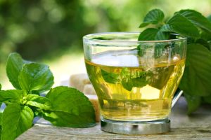 Eucalyptus Tea Benefits