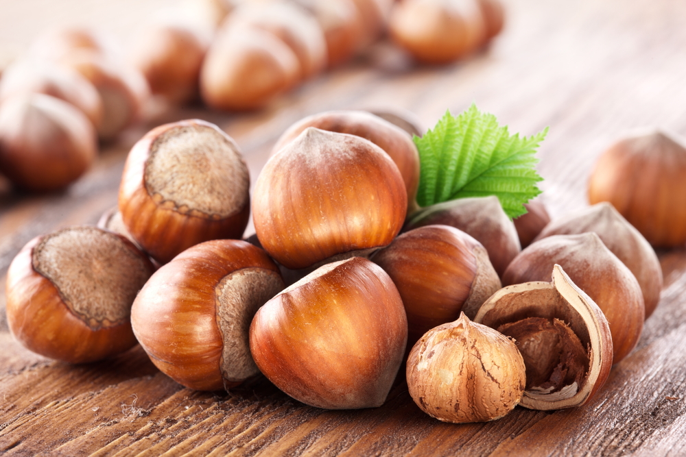 Hazelnuts Benefits