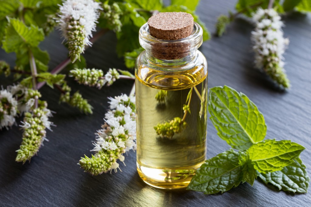 Benefit of Mint Oil