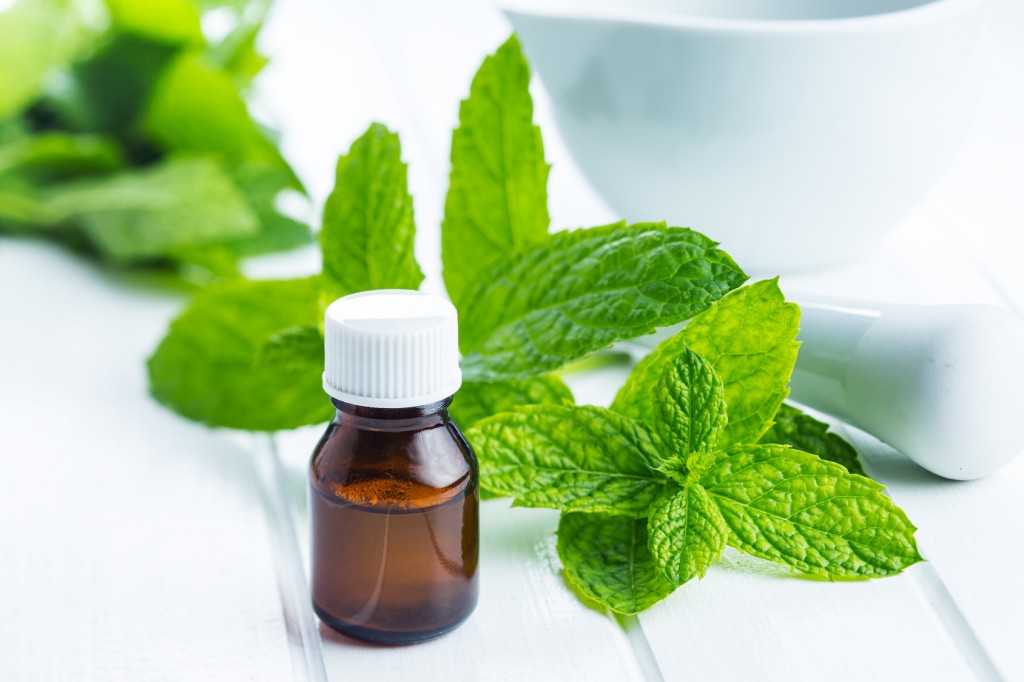 Mint Oil