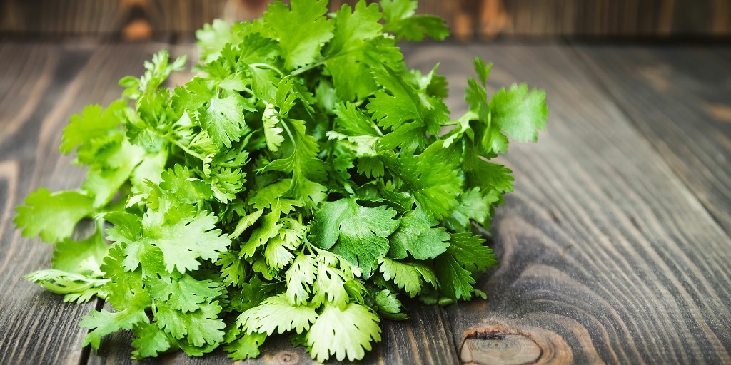 Parsley