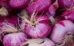 10 Proven Health Benefits of Purple Onion
