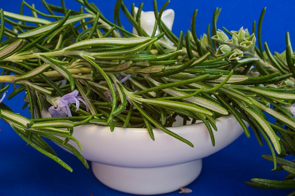 Benefits of Rosemary's tea