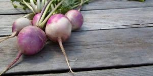 Turnip Benefit