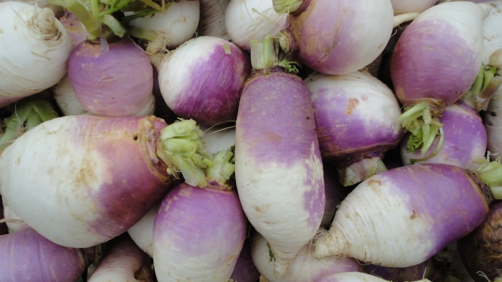 Turnip Benefits