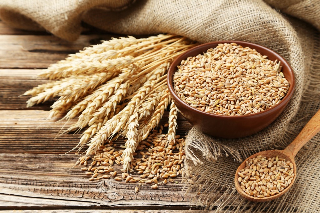 Wheat Benefit