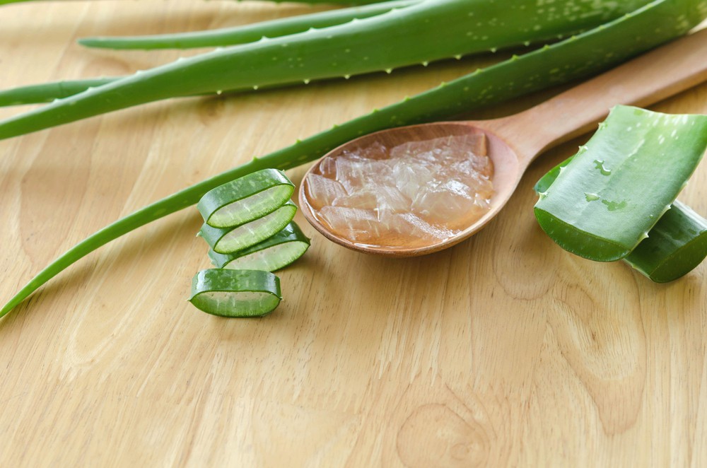 aloe vera