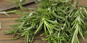 15 Proven Health Benefits of Rosemary