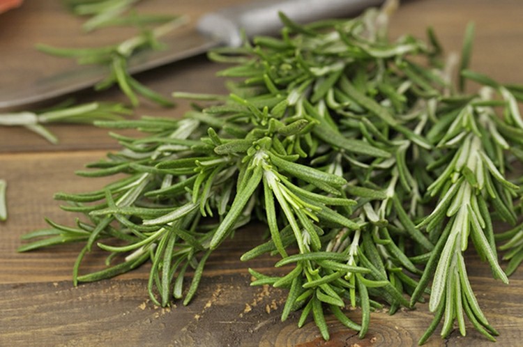 15 Proven Health Benefits of Rosemary