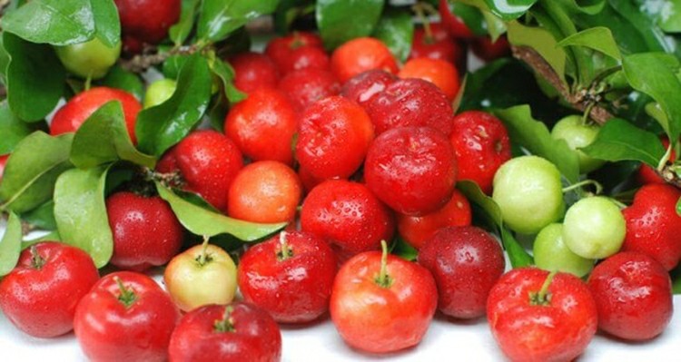 18 Proven Health Benefits of Acerola