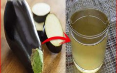 10 Proven Health Benefits of Eggplant Juice