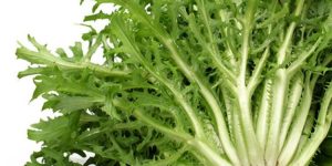 benefits of escarole