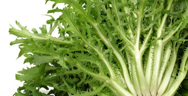 benefits of escarole