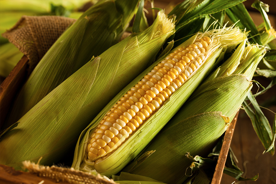 benefits of green corn Health Tips