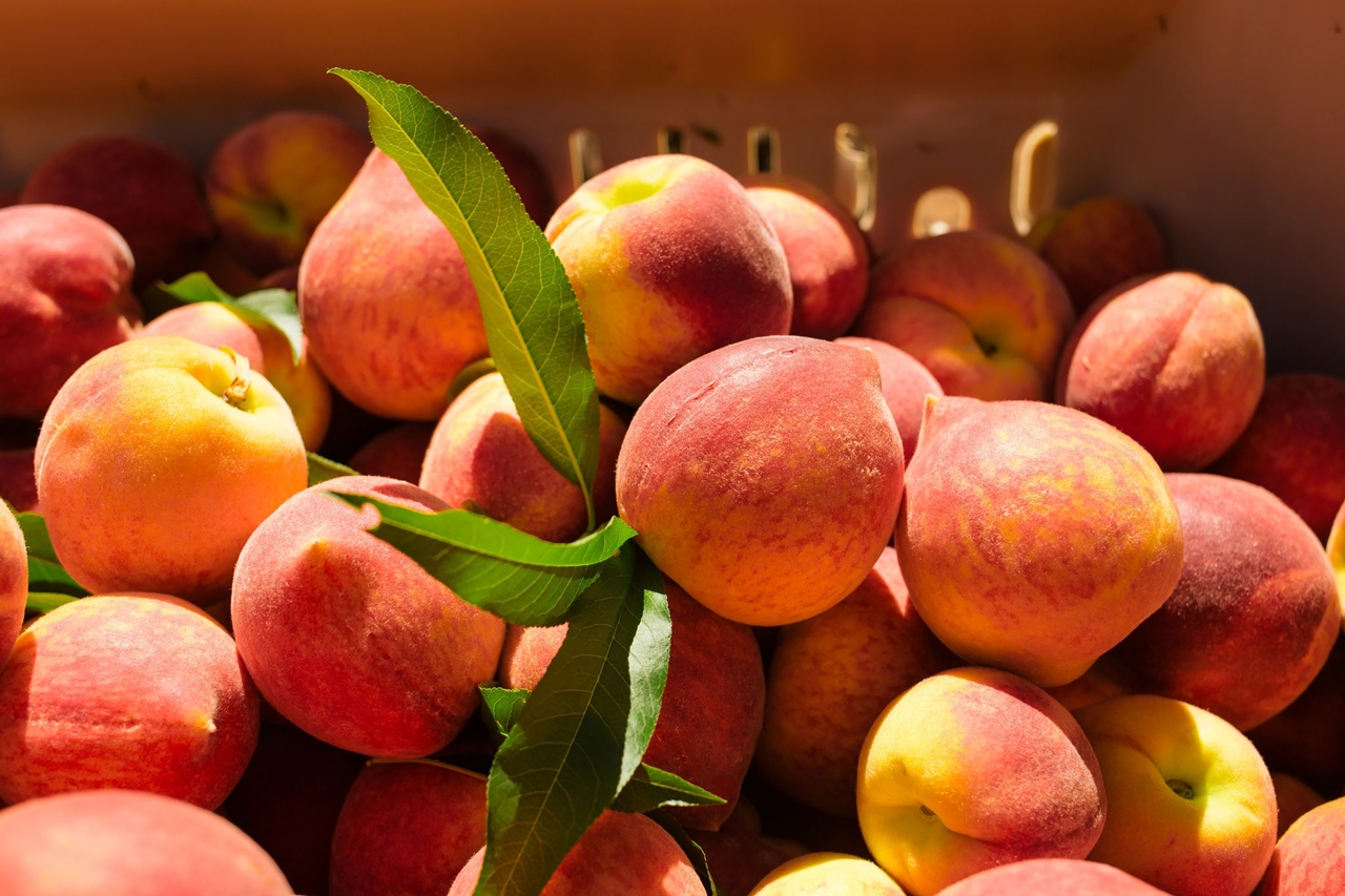 benefits of peach