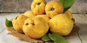 benefits of quince