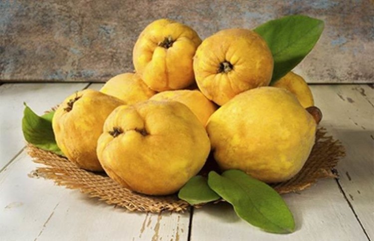 benefits of quince