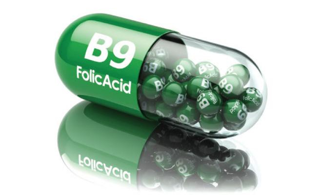 benefits of vitamin b9