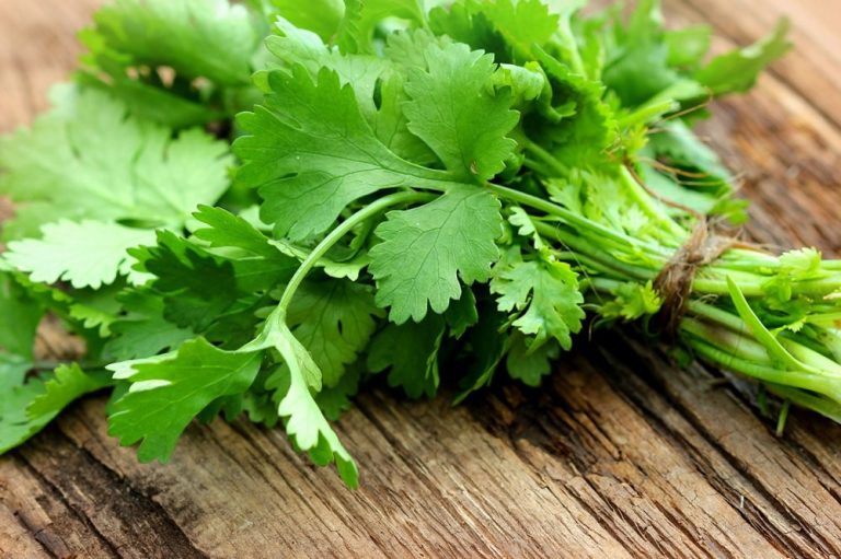 10 Proven Health Benefits of Parsley Health Tips