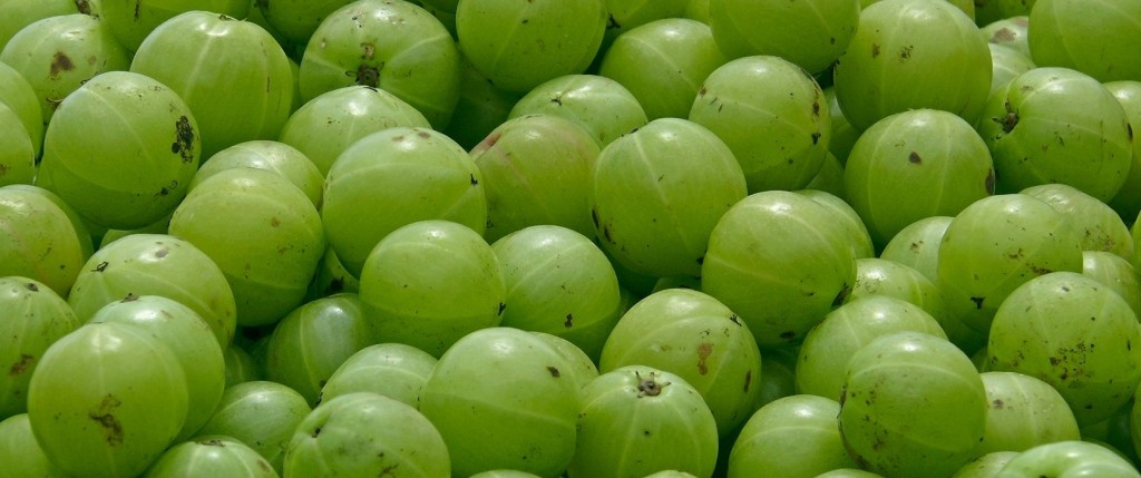 benefit of amla