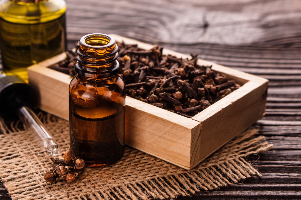 Benefits of clove oil