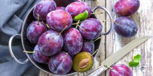 plum Benefits