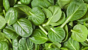 17 Proven Health Benefits of Spinach
