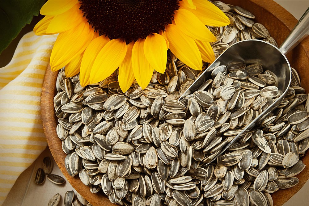 sunflower seed Benefits